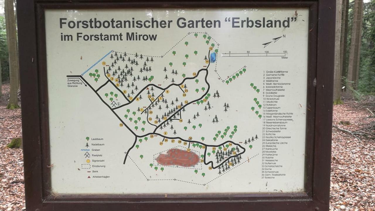 Ferienhaus Dora Villa Rechlin Eksteriør bilde